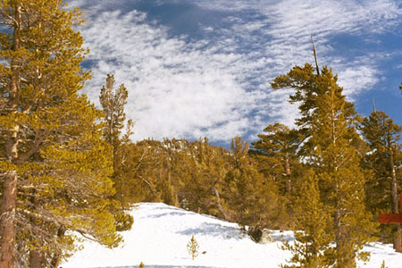 Tahoe6a
