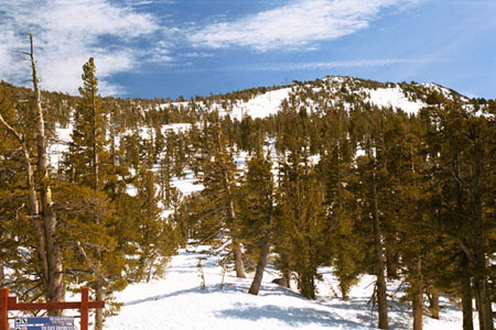Tahoe6c