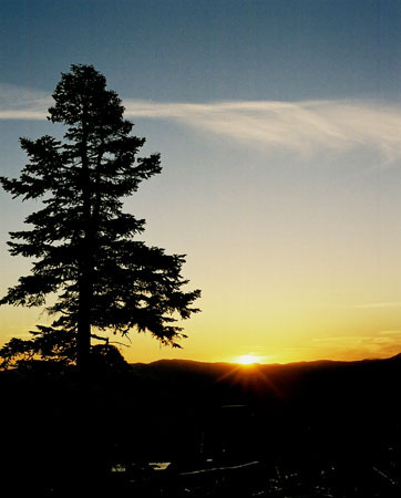 Tahoe99b