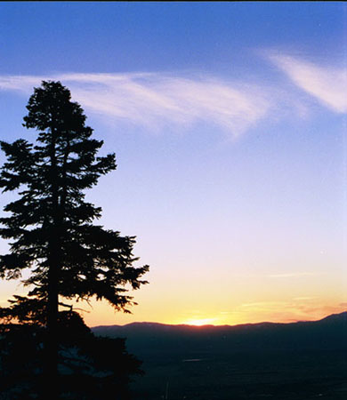 Tahoe99c