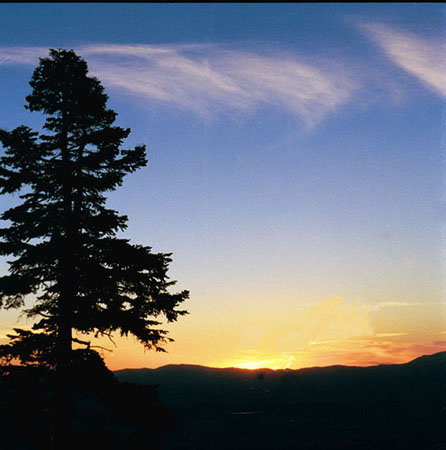 Tahoe99d